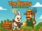 The Bunny vs The Gardener — free online game