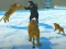 Tiger Family Simulator — free online game