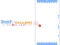 Bounce challenges Colors Game — free online game