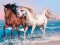 Animals Jigsaw Puzzle Horses — free online game