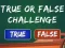 True Or False Challenge — free online game