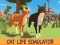 Cat Life Simulator — free online game