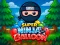 Super Ninja Balloon — free online game