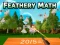 Feathery Math — free online game