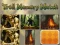 Troll Memory Match — free online game