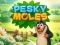 Pesky Moles — free online game
