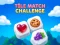 Tile Match Challenge — free online game