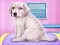 Labrador at the doctor salon     — free online game