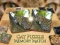 Cat Puzzle Memory Match — free online game