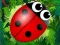 Bug Match — free online game