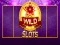 Wild Slot — free online game