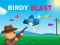 Birdy Blast — free online game
