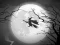 The Night Of the Witches Jigsaw — darmowa gra online