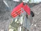 Offroad Truck — free online game