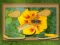 Find & Restore: Hidden Puzzle — free online game
