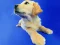 Funny Cats And Dogs Jigsaw Puzzle — free online game