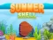 Summer Shell — free online game