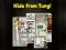 Hide From Tung! — free online game