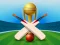 Cricket Champions Cup — free online game