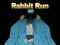 Rabbit Run 3D — free online game