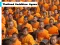 Thailand Buddhism Jigsaw — free online game