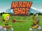 Arrow Shoot — free online game