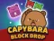Capybara Block Drop — free online game