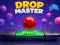 Drop Master — free online game
