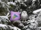 Winter Wonderland Forest Adventure — free online game