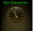 Laro Age Calculator online