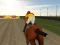 Horse Ride Racing 3D — free online game