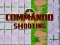 Commando Shooting — free online game