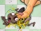 Smash The Bugs — free online game