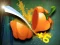 Veggie Slicer — free online game