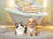 Pet Salon — bezplatná online hra