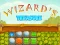 თამაში Wizard's Treasure ონლაინ
