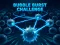 Bubble Burst Challenge — free online game