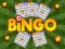 Bingo Revealed — free online game