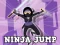 Ninja Jump  — free online game