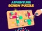 Adventure Screw Puzzle — free online game