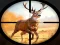 Wild Hunting Clash — free online game