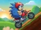Blue Hedgehog Ride — free online game
