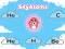 SkyAtoms — free online game