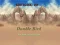 Double Bird — free online game