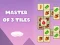 Master of 3 Tiles — free online game