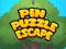 Pin Puzzle Escape — free online game