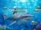 Hunter Underwater Spearfishing — joc online gratuit