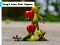 Frog's Love Pair Jigsaw — free online game