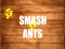Smash Ants — free online game