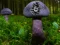 Mushroom Forest Adventure — 무료 온라인 게임